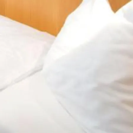 Otel St. Virgil Salzburg