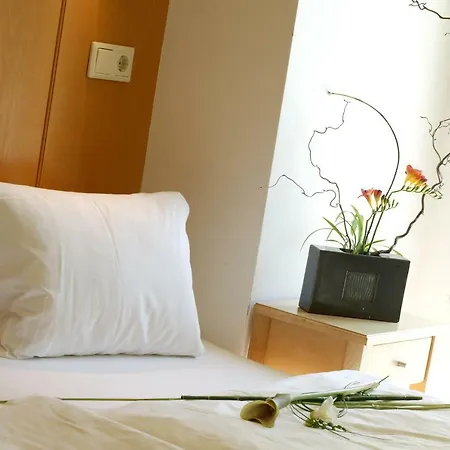 St. Virgil 4* Salzburgo