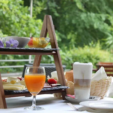 萨尔茨堡圣维吉尔酒店 酒店 4*